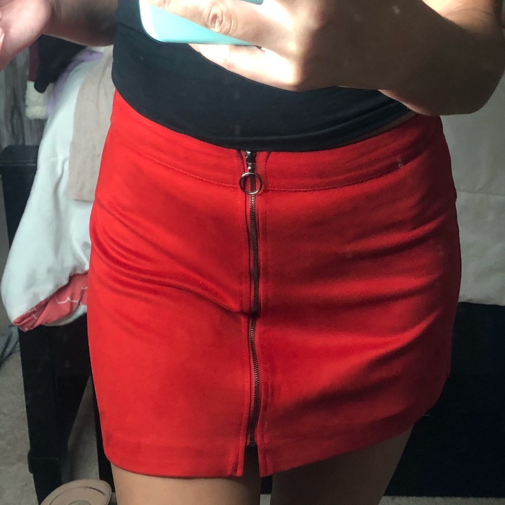 ZARA Skirt